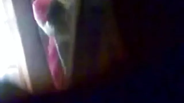 স্বামী ও স্ত্রী বাংলা নাইকাদের চুদা চুদি