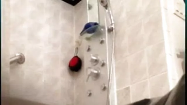 উত্যক্ত বাংলা সেকচ ভিডিও করা, উলঙ্গ নাচের