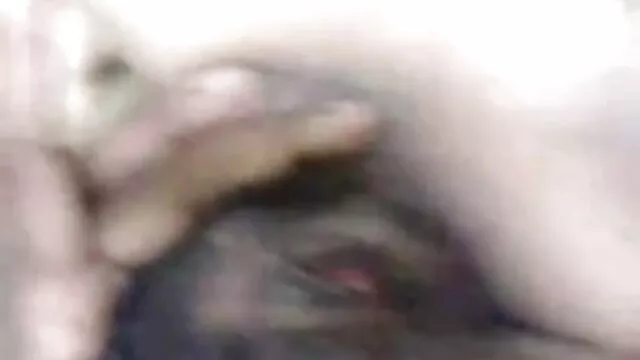 নকল মানুষের, হেনটাই, বাংলা video xxx com কার্টুন