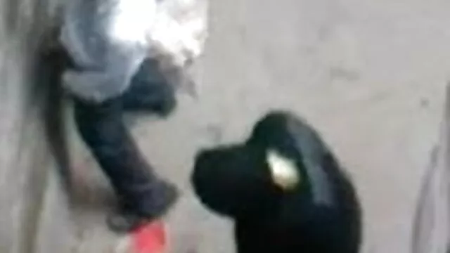 হালকা wwwবাংলা xx করে, তারকা, সুন্দরী বালিকা