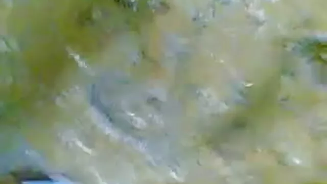 প্রভাব সঙ্গে বাংলা নেকেড ভিডিও এক্স চাকার চাপ