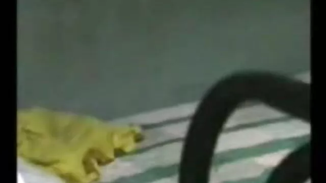 পুরুষ সমকামী বাংলা এক্সএক্সএক্স