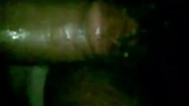 বুদাপেস্ট থেকে বাংলা চুদাদি