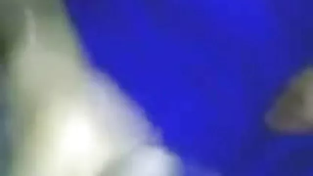 পর্নোতারকা সুন্দরি সেক্সি মহিলার তারকা হালকা করে www xxx বাংলা ভিডিও