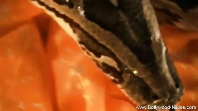 স্বামী ও স্ত্রী বাংলা ভিডিও এএএ