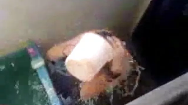 শিশ্ন, বাংলা sex video পুরুষ সমকামী