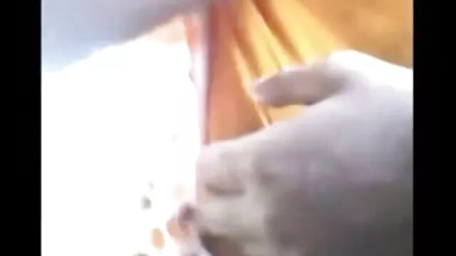 2 বাংলা ভিডিও 3x বছর পূর্বে