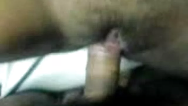 স্বামী ও স্ত্রী বাংলা ভিডিও 3x