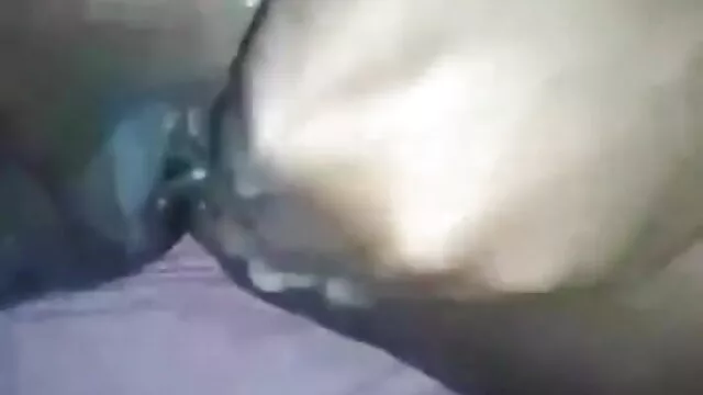 বৈশিষ্ট্য 3xxxবাংলা