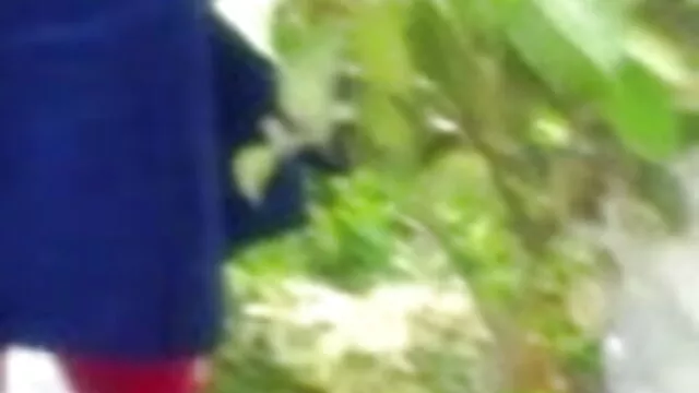 গুজরাটি ভাষা * বাংলা ভাষা বাংলাx ভিডিও * ওড়িয়া ভাষা. অসমীয়া ভাষা. ফার্সি ভাষা * পশতু ভাষা.