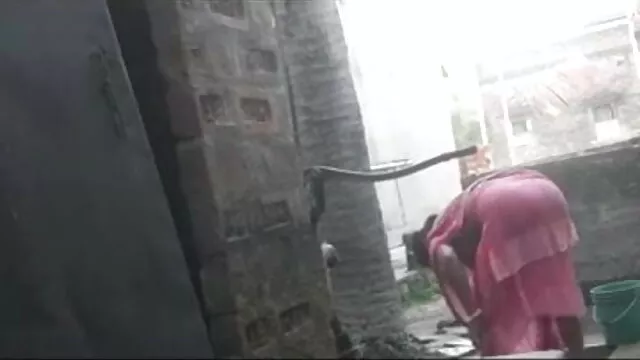 বাঁড়ার রস খাবার, ব্লজব, মাই বাংলা ভিডিওxxx এর