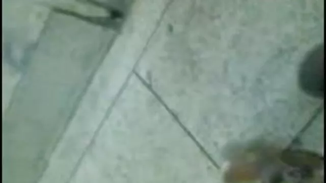 এশিয়ান, বাংলা কথা সহ চুদা চুদি