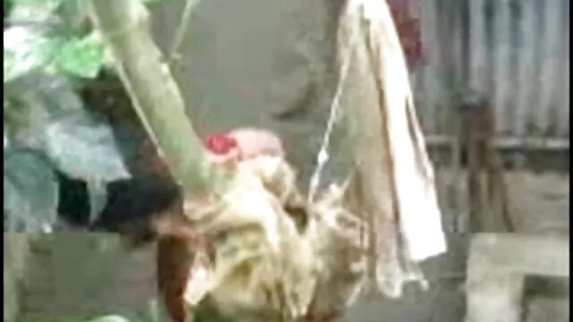 মথি উইলসন সঙ্গে নেট এ বাংলা sxe video ভার্চুয়াল রিয়ালিটি অ্যাপস নির্মাণ