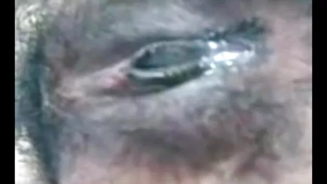 বহু পুরুষের বাংলা এক্সক্সক্সক্স ভিডিও এক নারির,