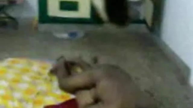 বিবাহিত ব্যবহার ধর্ষণের শিকার বাংলা ভিডিও 3xxx