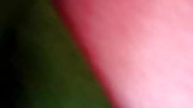 মেয়ে wwwবাংলা xx সমকামী