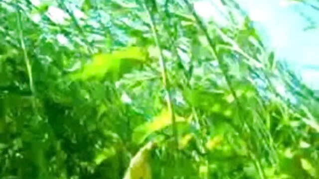 পাশবিক কারণে একটি রেস্তোরায় একটি রান্নাঘর রান্না এবং বাংলা এক্সক্সক্স ভিদেও মৃত্যুদন্ড অভাব