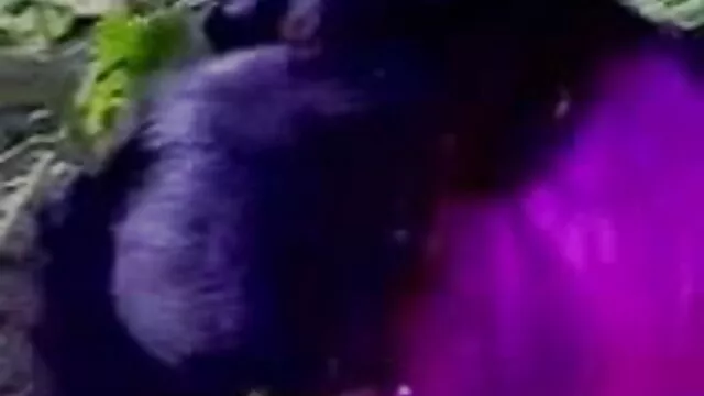 ঘোরানো, ঘোরানো, বাংলা xx বিডিও বহু পুরুষের এক নারির