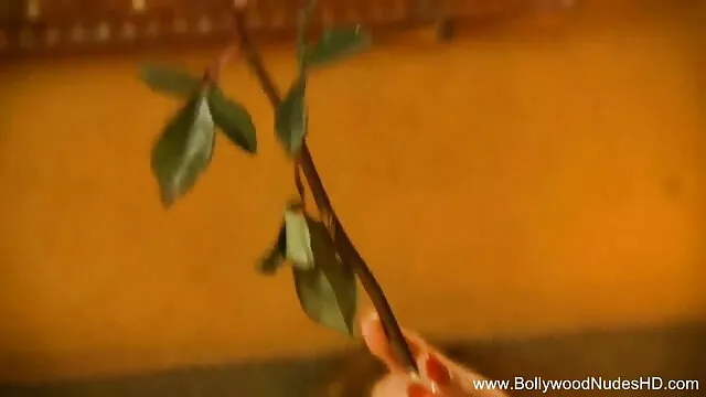 স্মার্ট সদস্য একটি চকলেট কেক এক্সক্সক্স ভিডিও বাংলা প্রবেশ করে