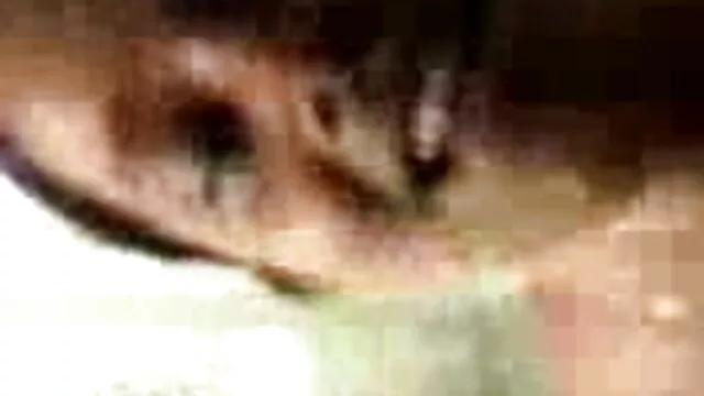 এটা বাংলা এক্সক্সক্স বিডিও হচ্ছে