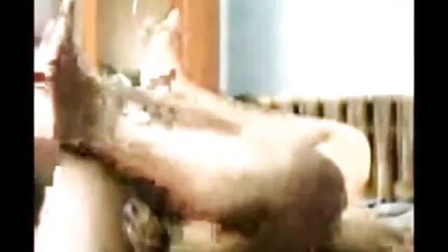 মেয়েদের বাংলাxxx v হস্তমৈথুন, ওয়েবক্যাম