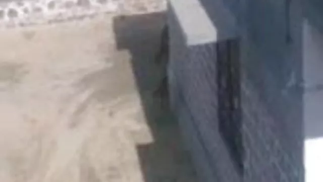 বহু পুরুষের বাংলা চুদাচুদি xxx এক নারির