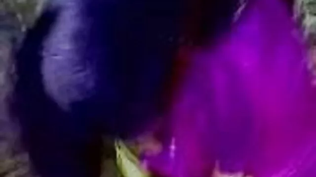 দুই বিপুল ঝুঁকি বাংলা দেশি xxx ভিডিও